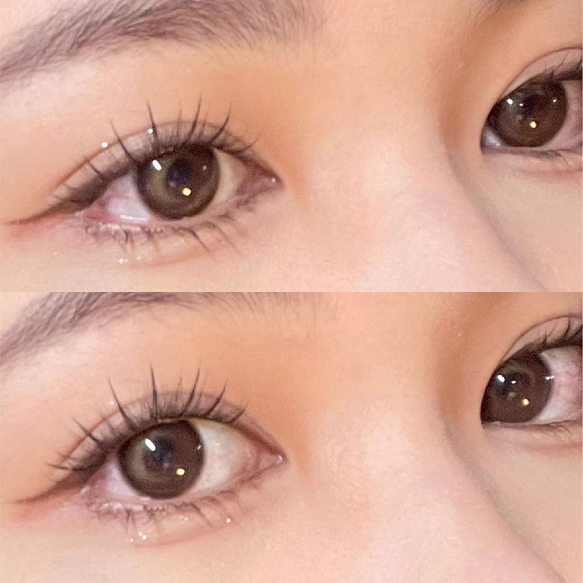 MJSP 萌睫尚品 分段睫毛混合装