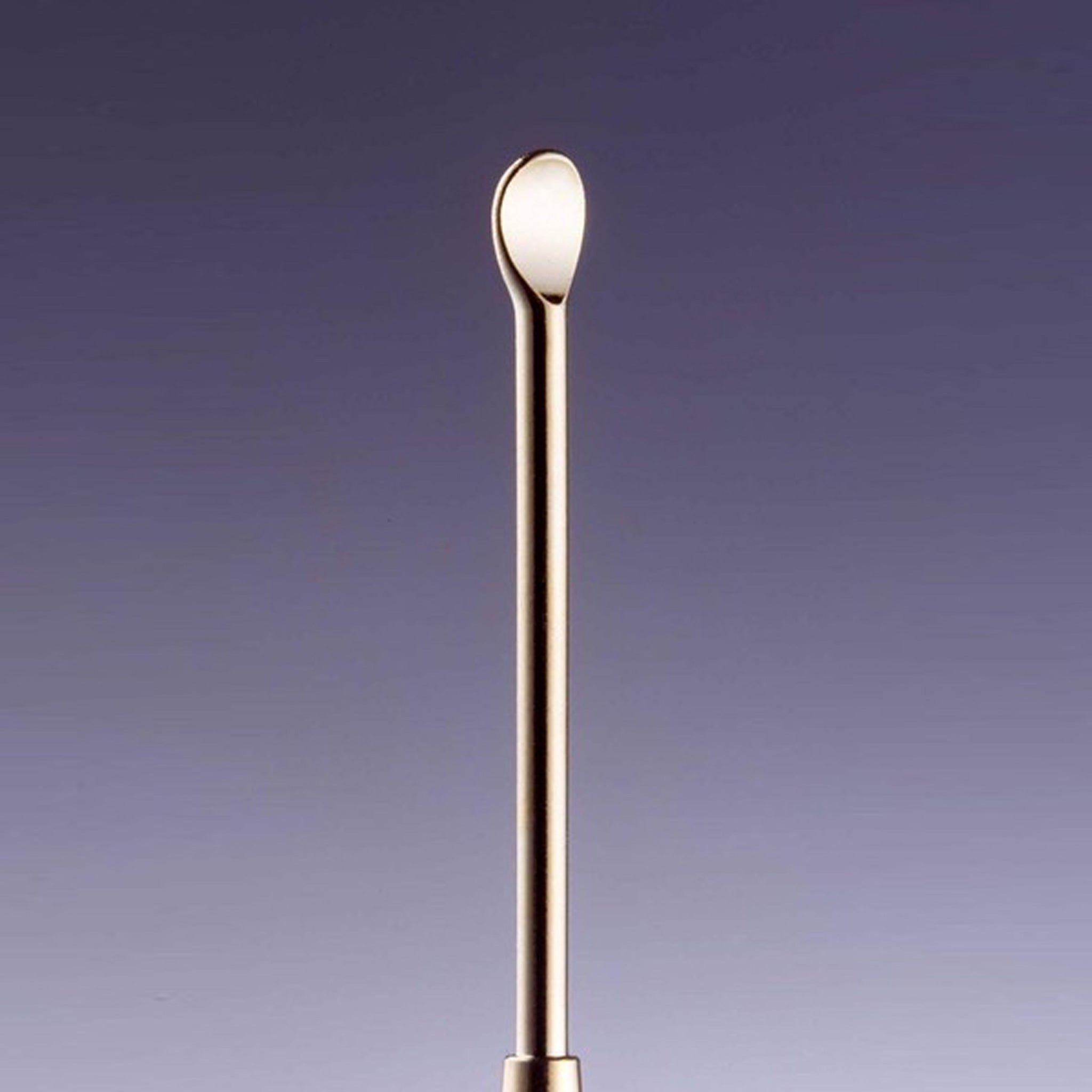 GREEN BELL Two-way Gold Ear Pick Cleaning Scraper