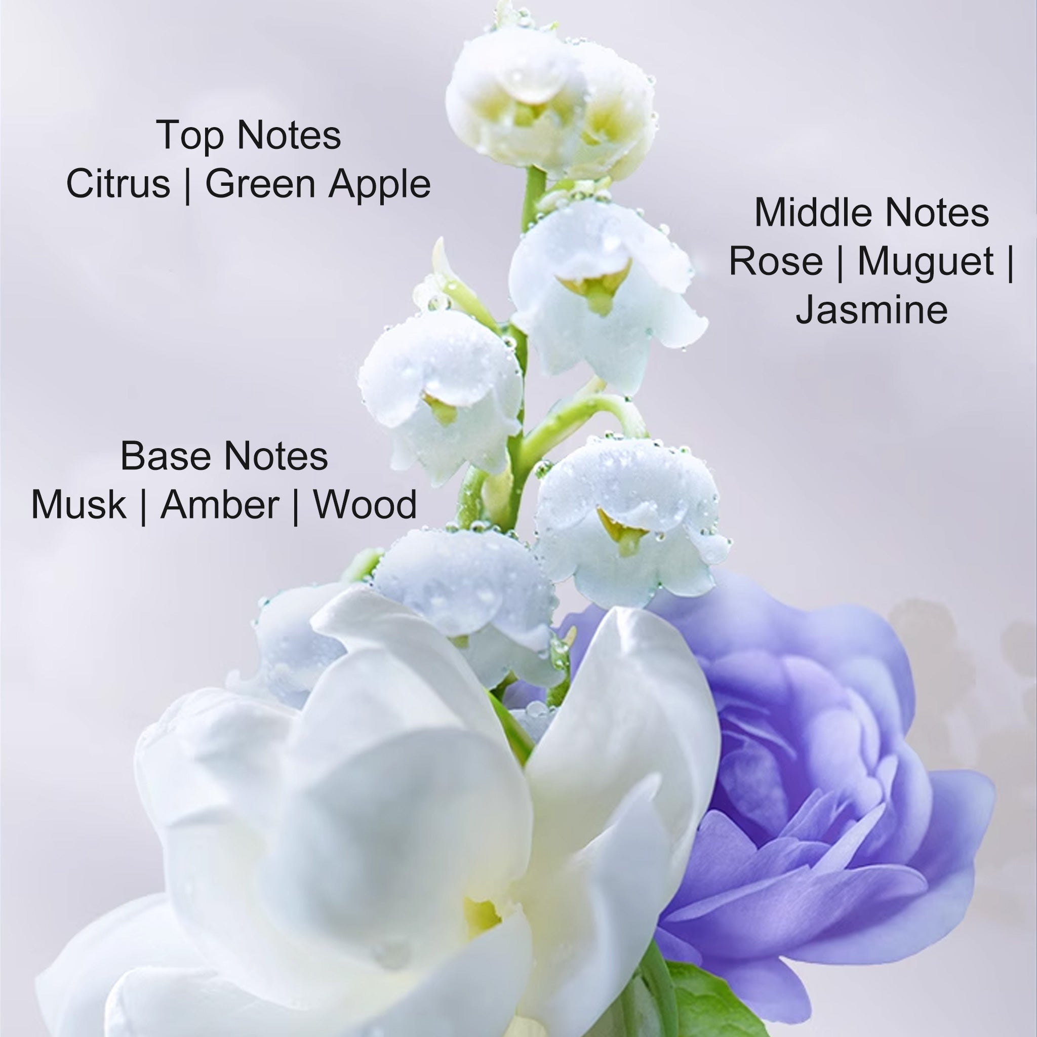 SHISEIDO Fino Premium Touch Conditioner 550ml