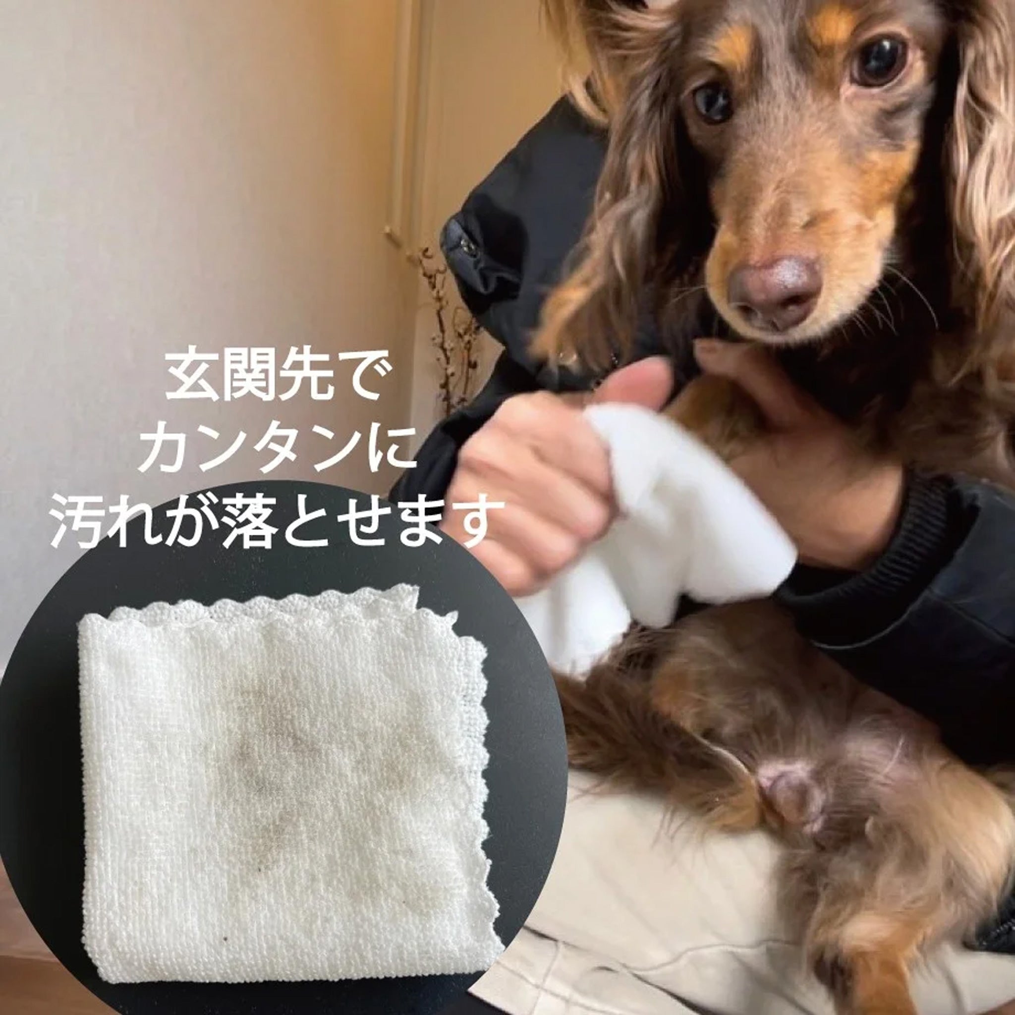 ORP Revival Water Paw Cleanser 300ml