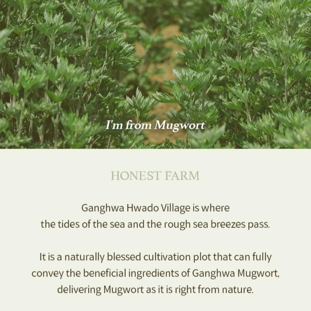 I'm from Mugwort Gel Cleanser 150ml