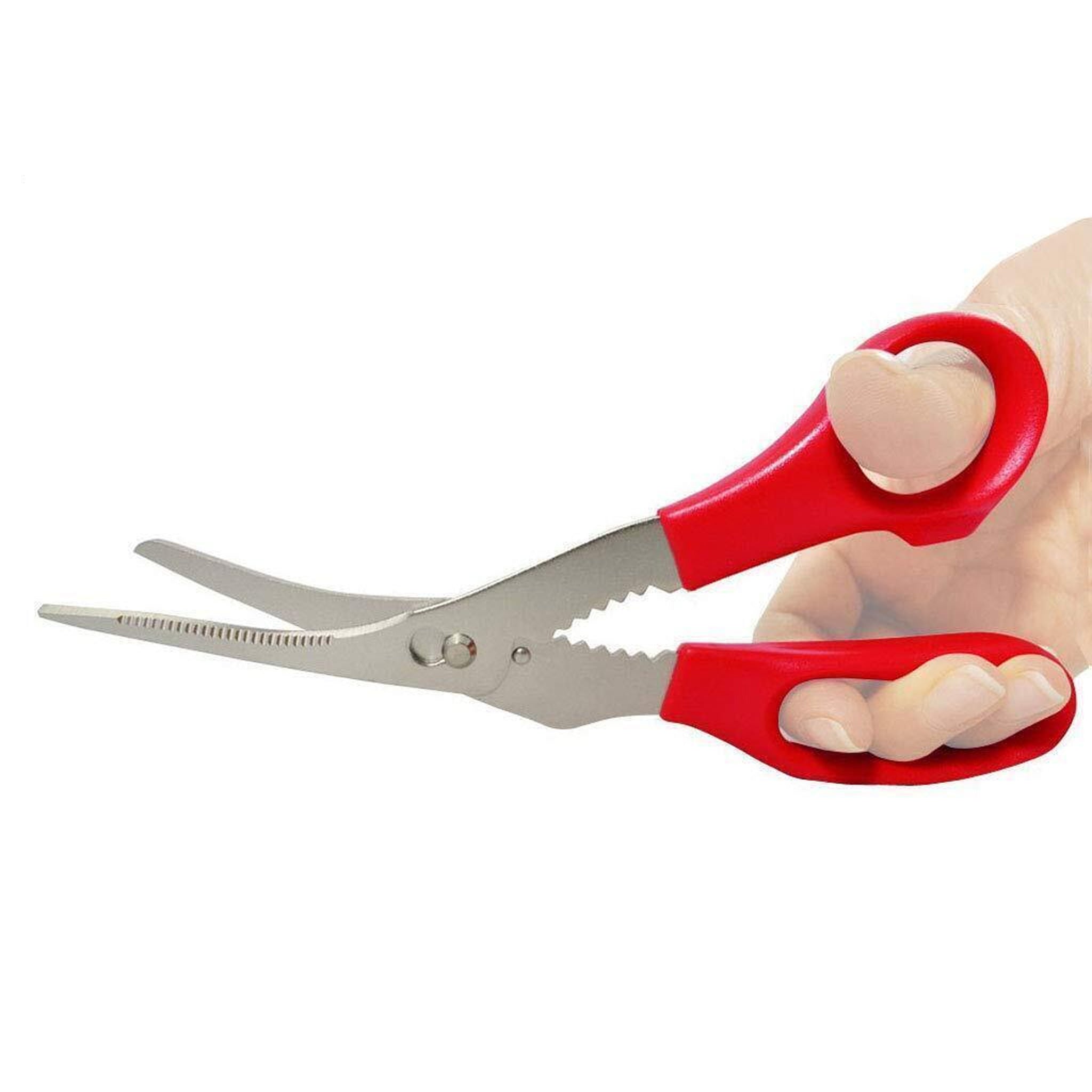 KAI Corporation DH7242 Kai House Select Crab Scissors