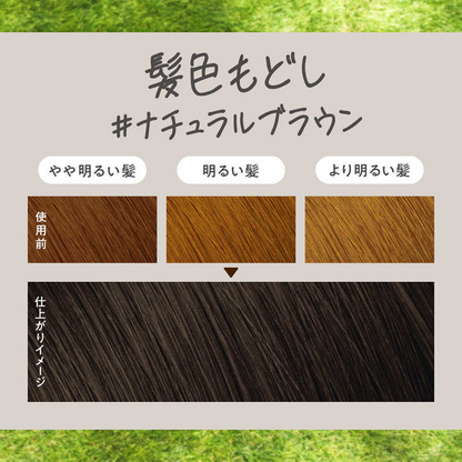 KAO Liese Foam Hair Dye 115 ml