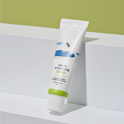 Round Lab Birch Juice Mild-Up Sunscreen SPF50+50ml