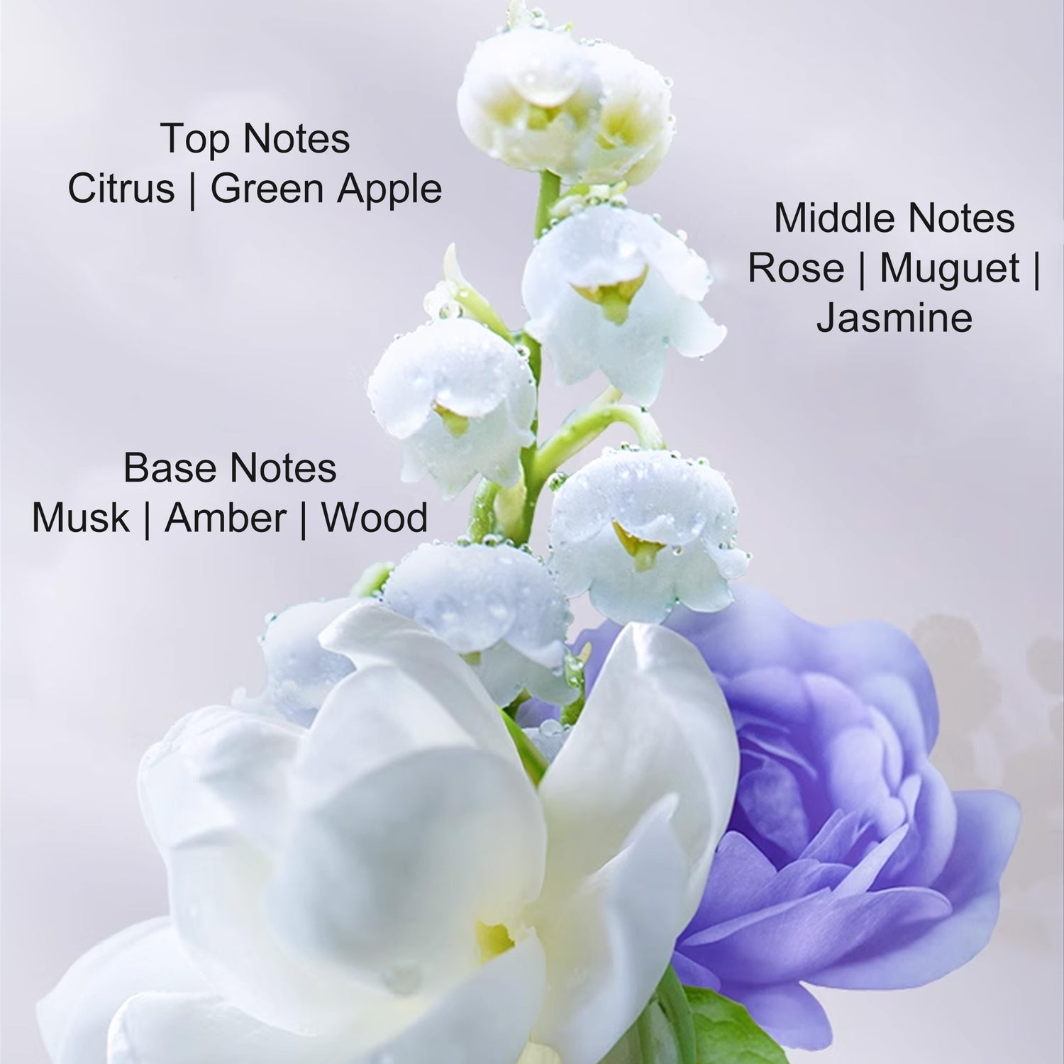 SHISEIDO Fino Premium Touch Conditioner 550ml